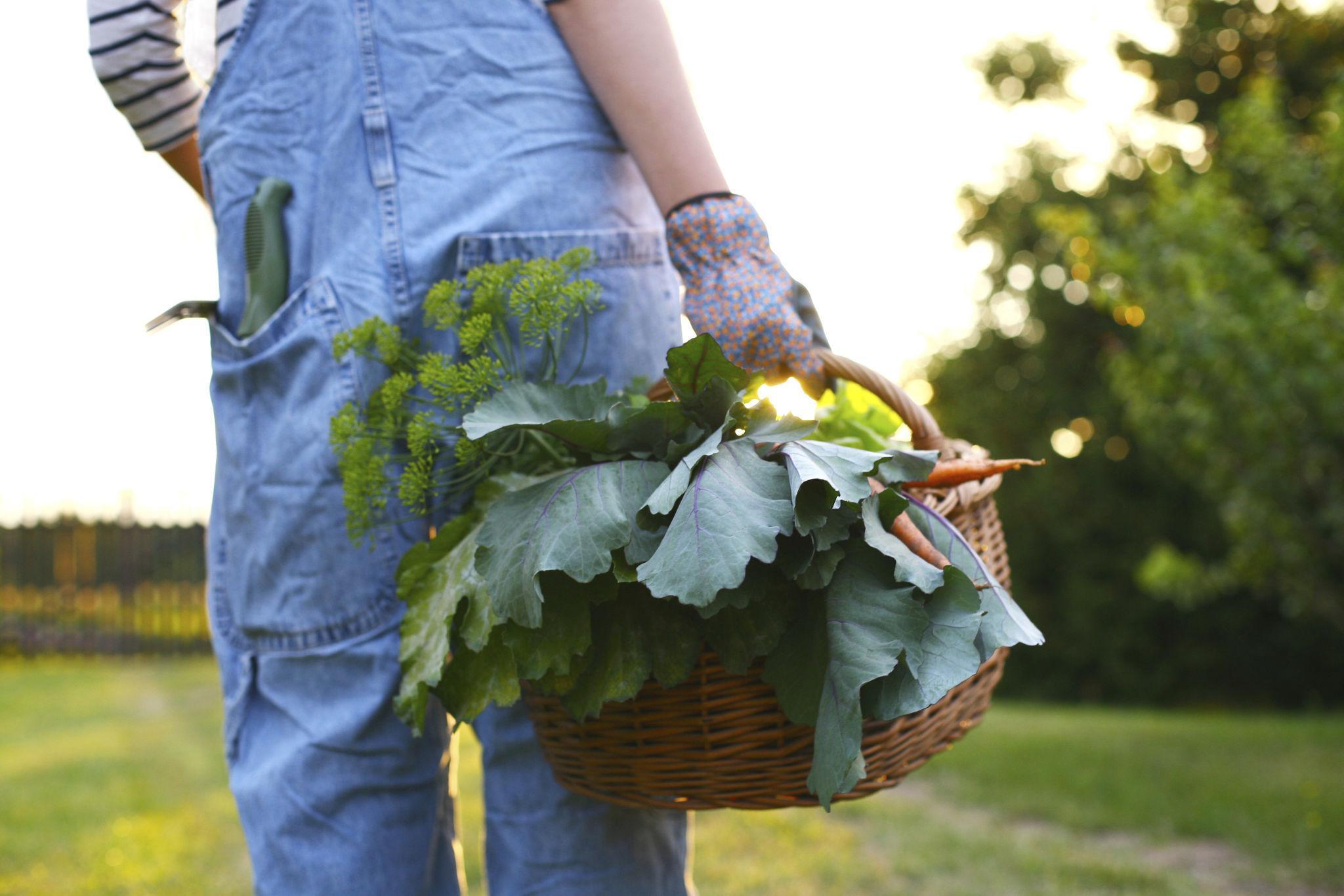 Farm food