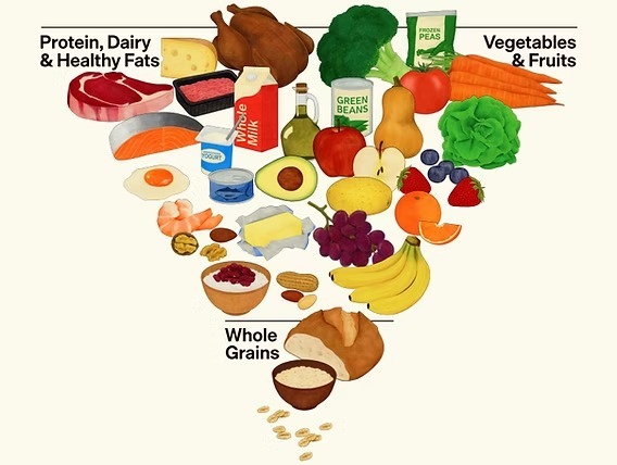 INVERTED FOOD PYRAMID
