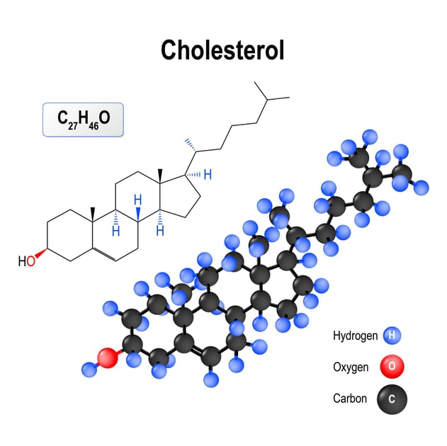 cholesterol
