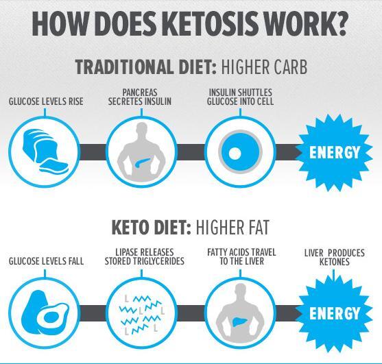 how ketosis works