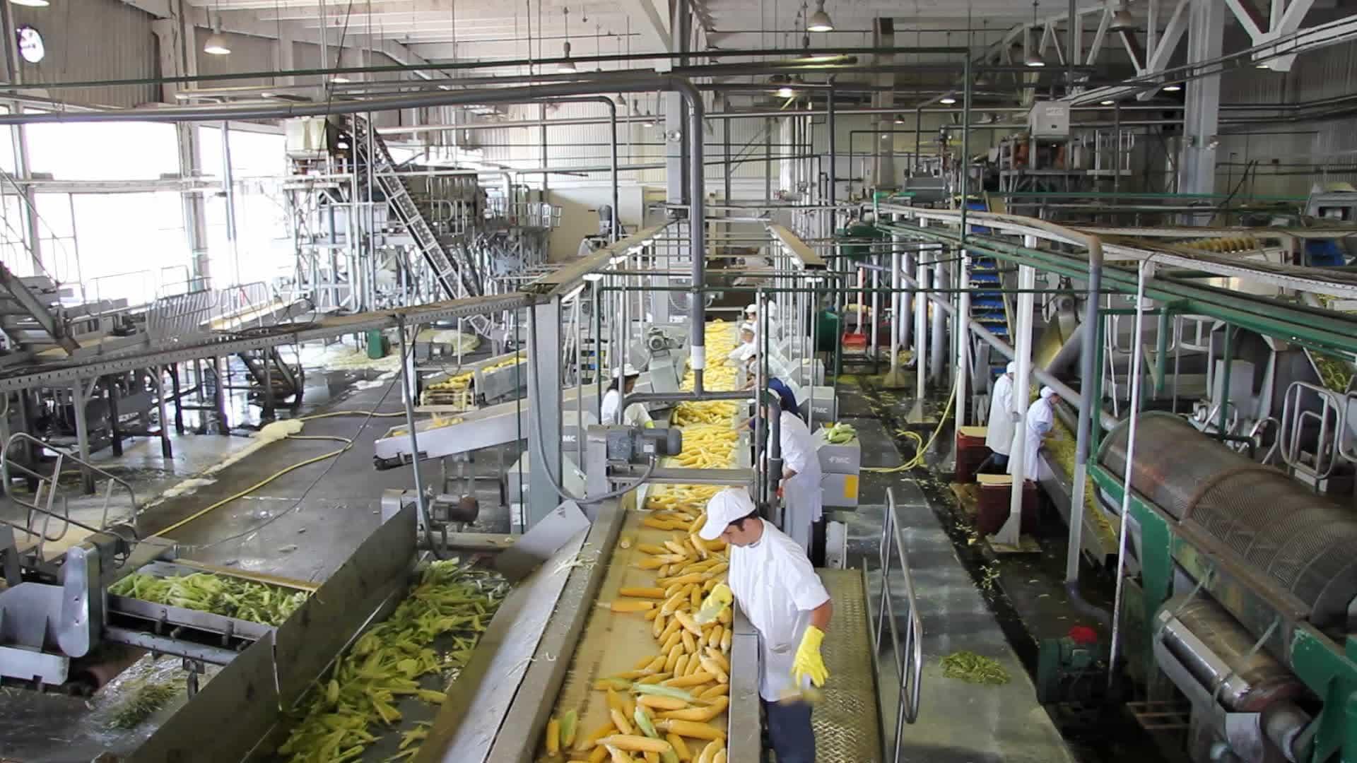 whole food formulation