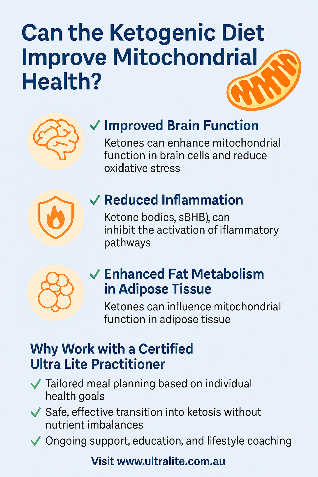 Can the Ketogenic Diet Improve Mitochondrial Health?